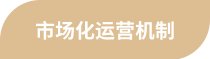 本站按公开材料组织页面